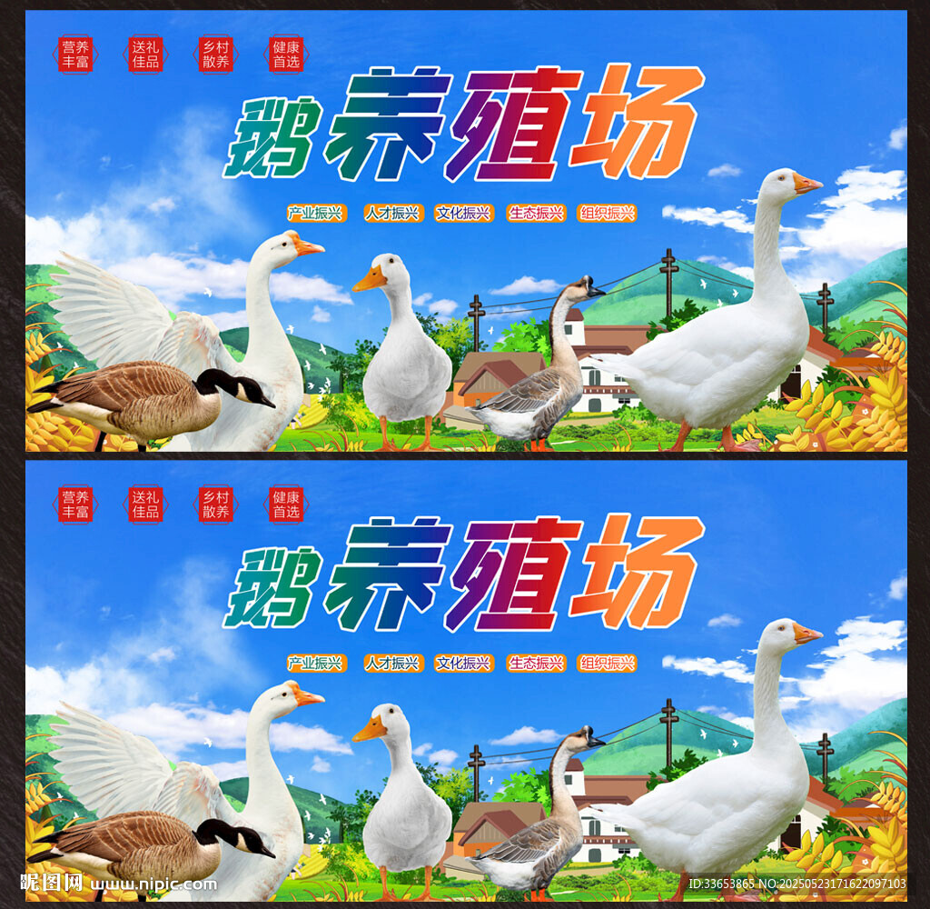鹅