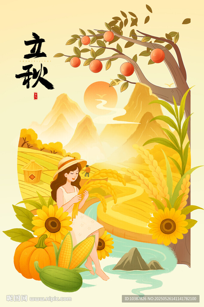 二十四节气立秋清新唯美稻田丰收