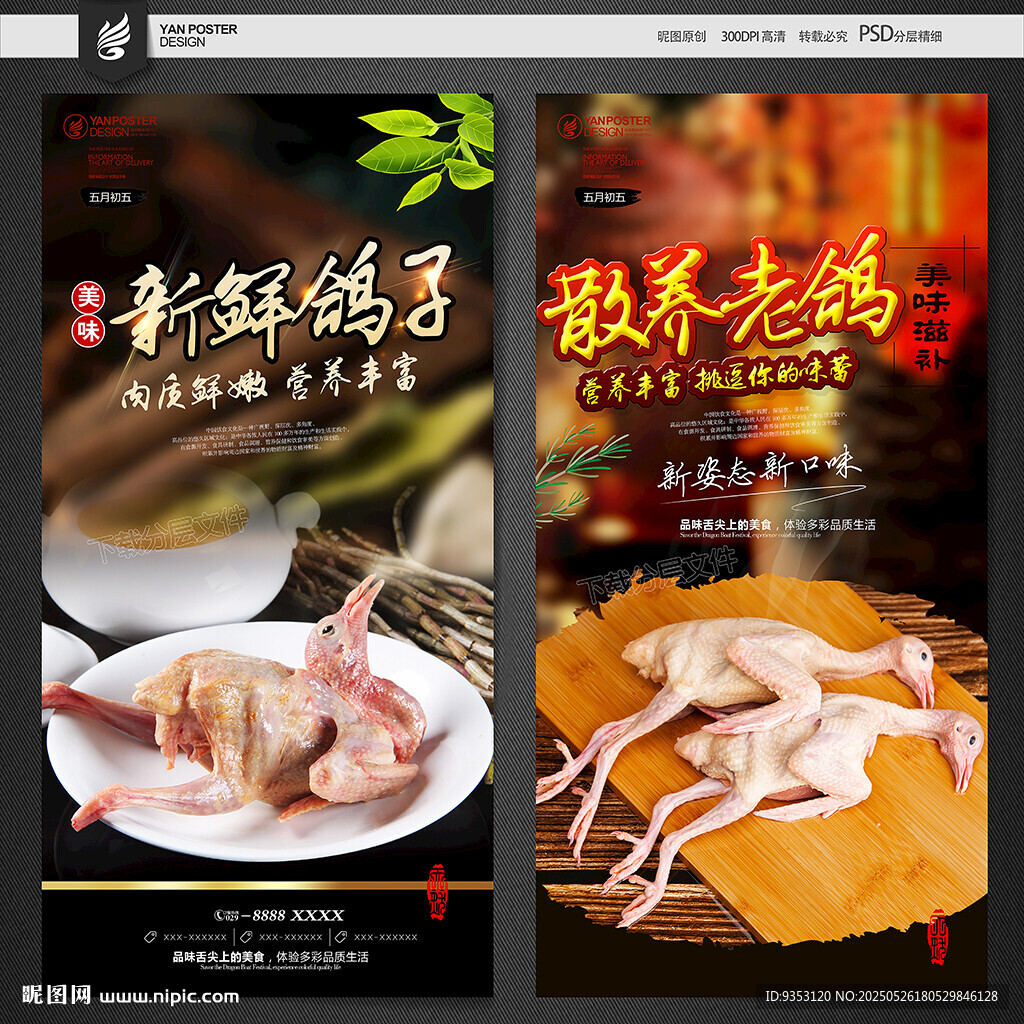 鸽子