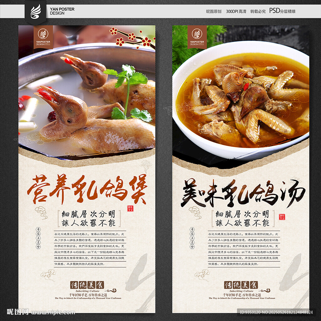 乳鸽汤