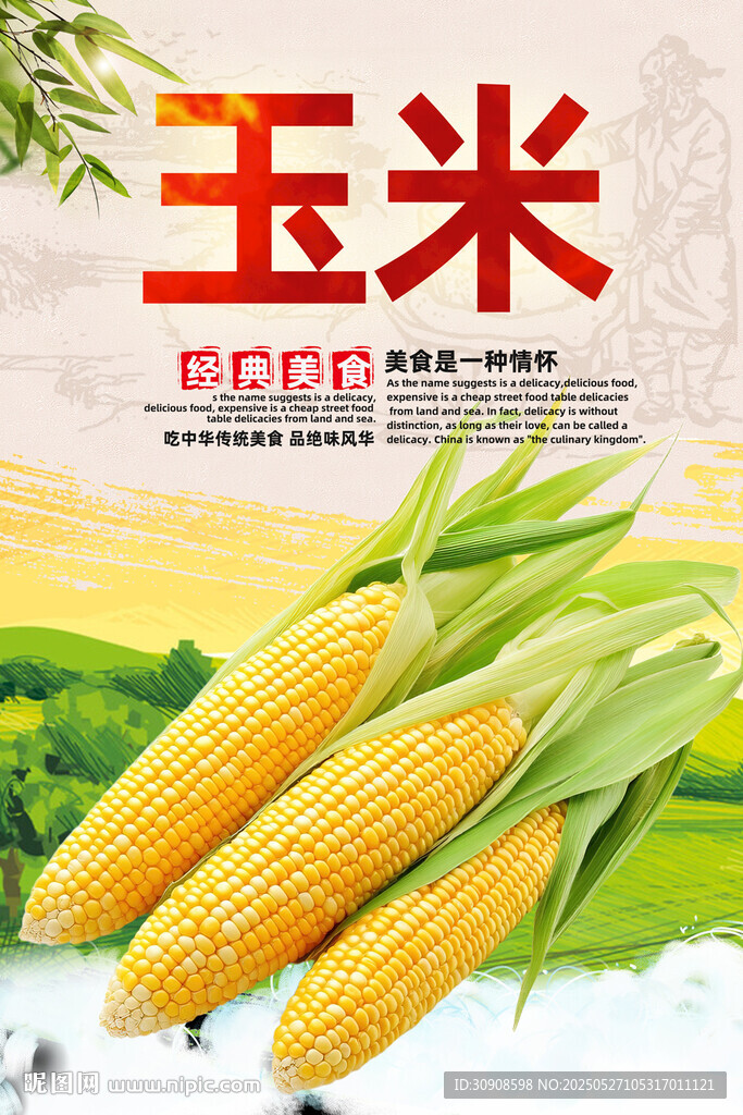 玉米