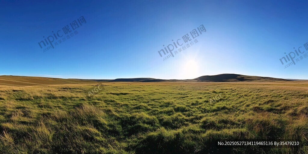 广阔草原上的灿烂阳光