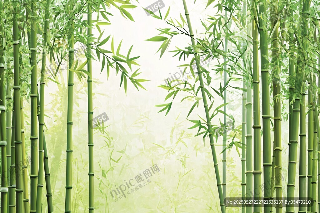 翠绿竹林 清新自然景致