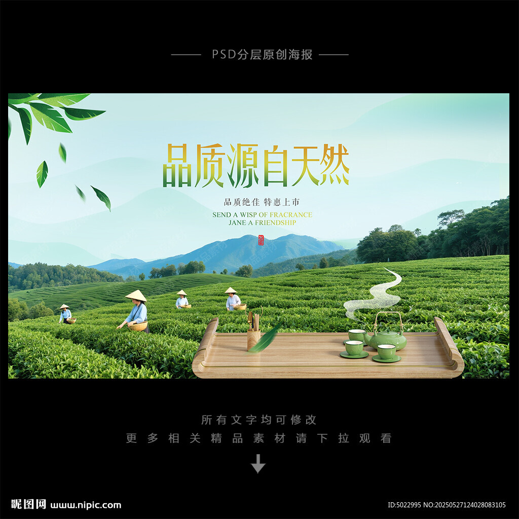 茶叶海报