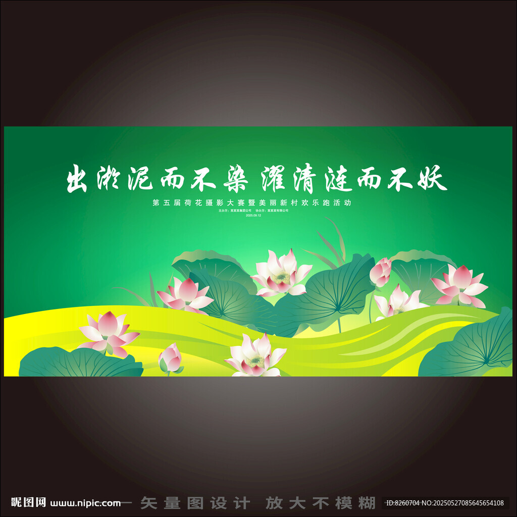 荷花摄影比赛