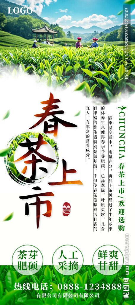 春茶上市 茶叶展架