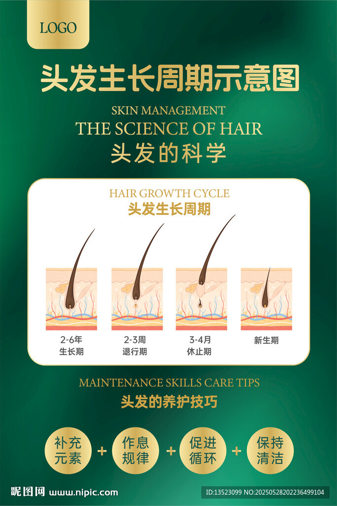 美发养育发头皮护理头发健康海报