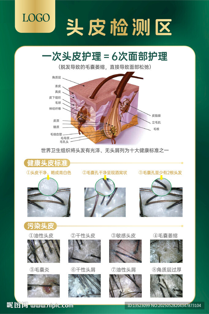美发养育发头皮护理头发健康海报