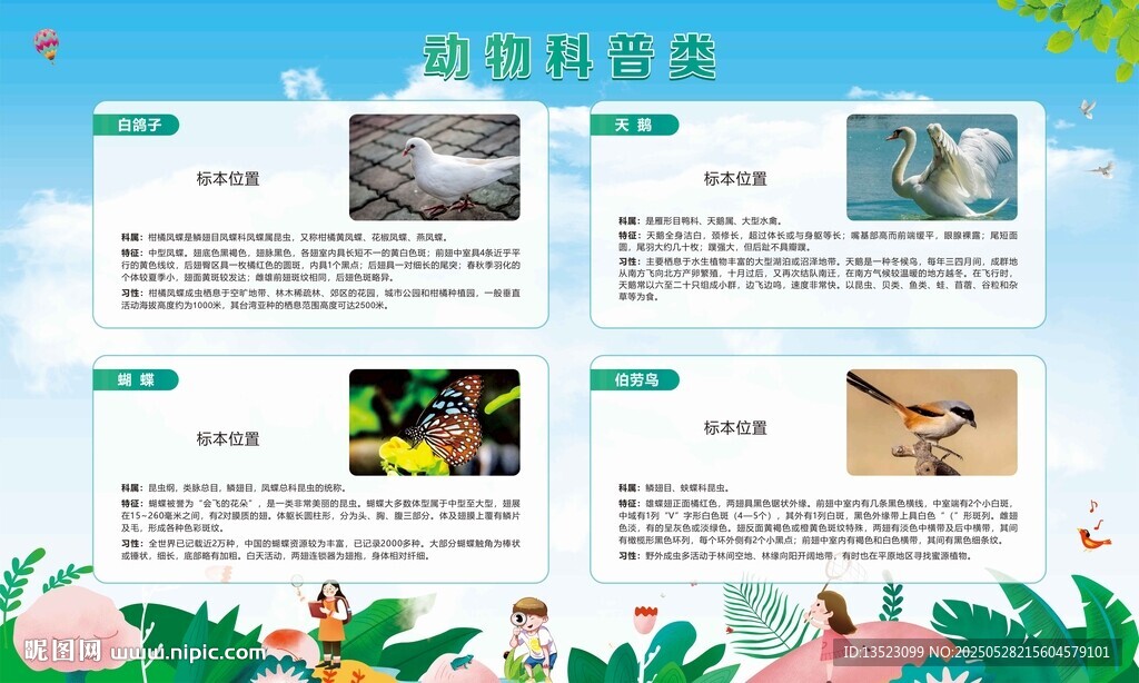 动物鸟类类科普展板