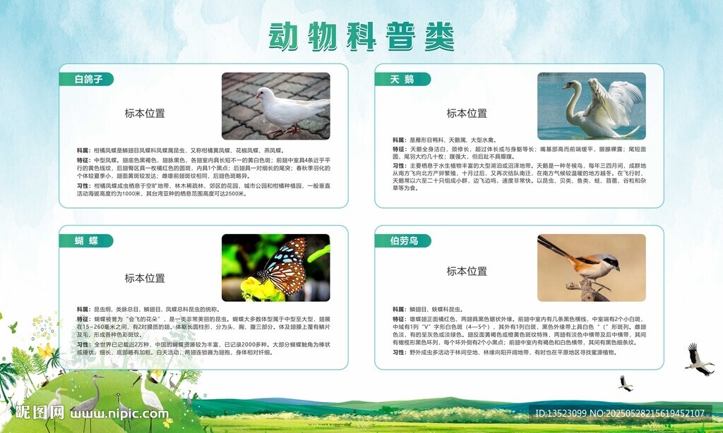 动物鸟类类科普展板
