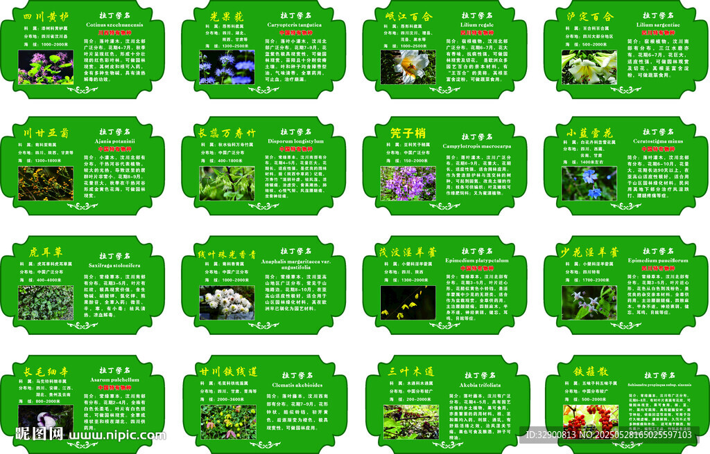 植物介绍牌