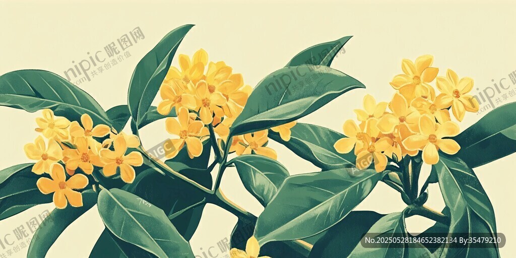 金黄桂花枝 清新自然风