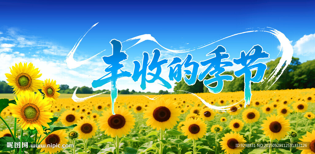 向日葵