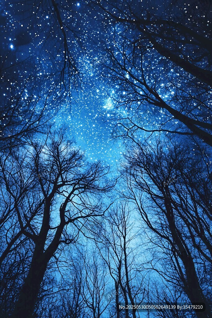 梦幻星空下的静谧树林