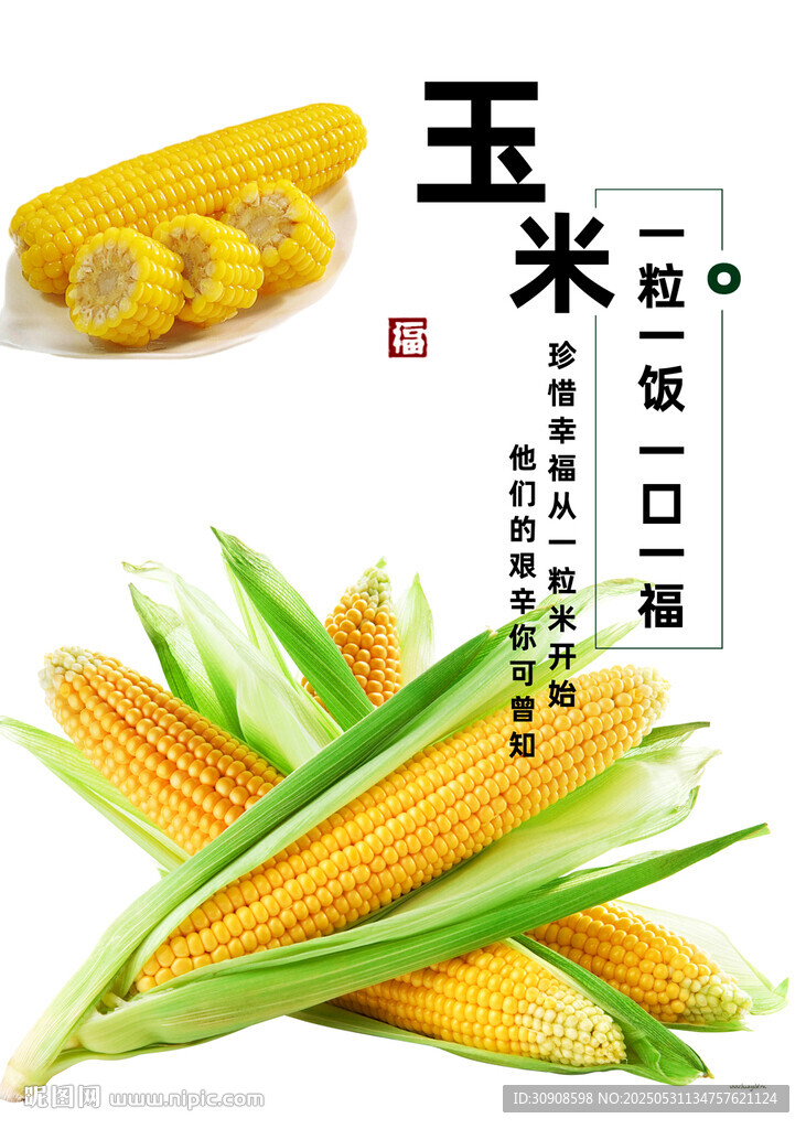 玉米