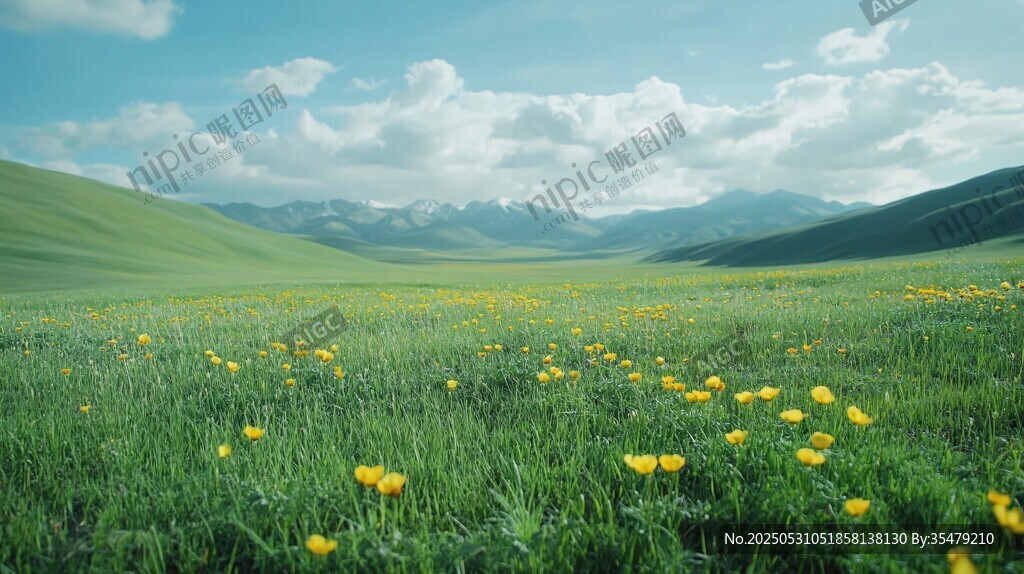 草原花海与远山美景
