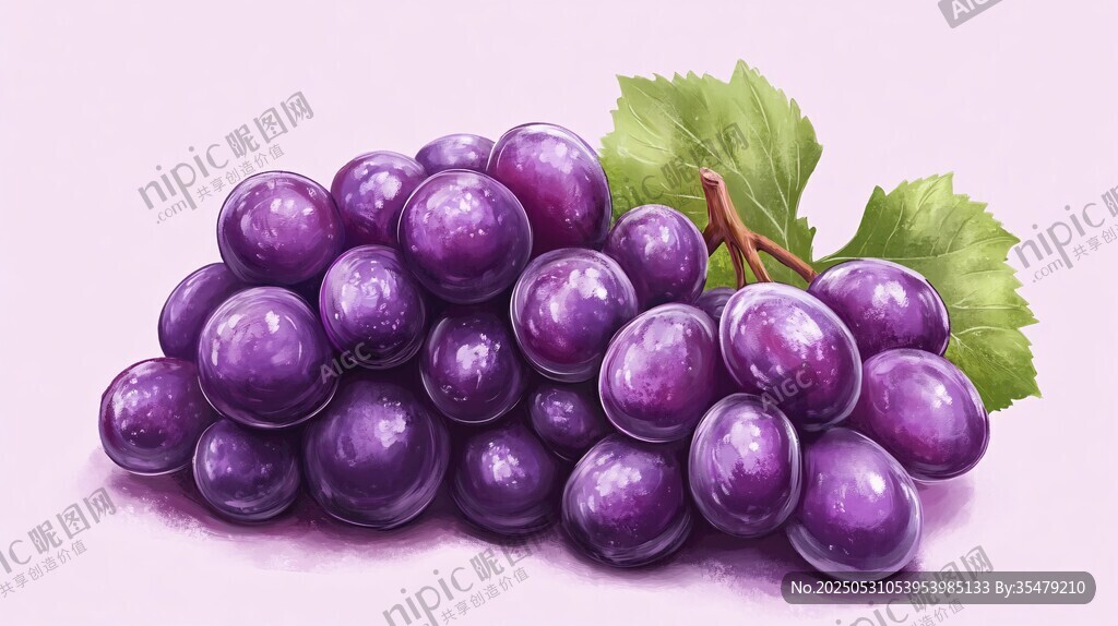 紫葡萄插画 饱满多汁诱人