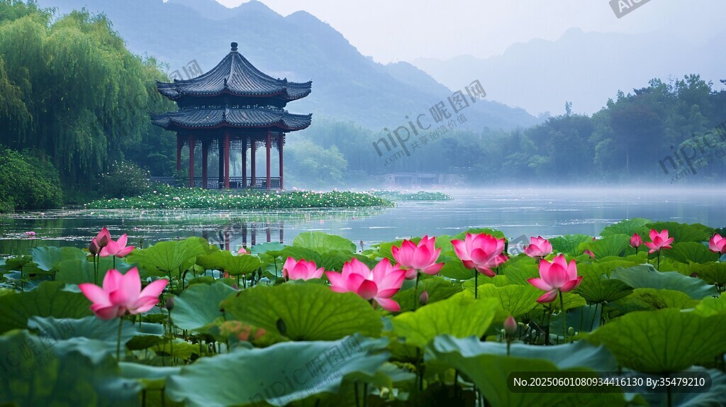 湖畔荷韵 古亭静立山水间