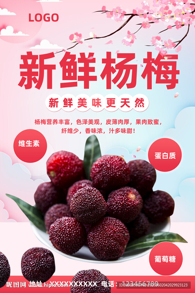 杨梅