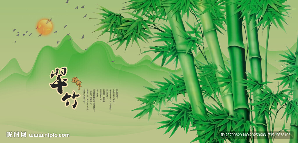 竹林竹子翠竹