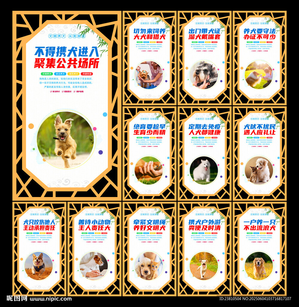 文明养犬