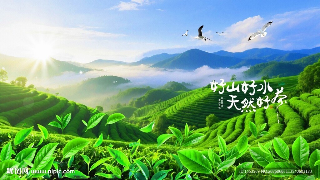 山间茶园美景