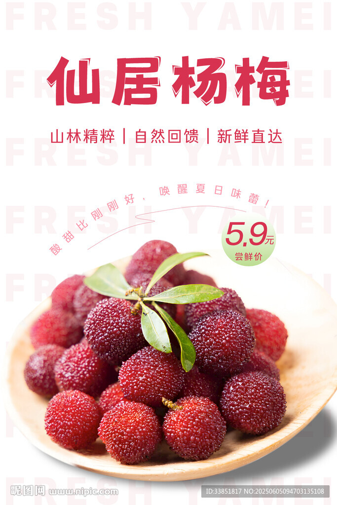杨梅海报