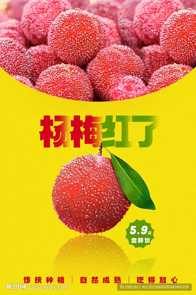 杨梅海报