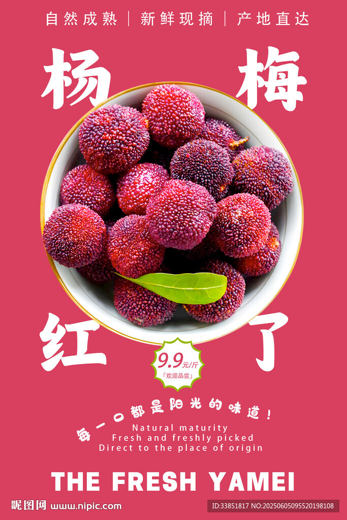 杨梅海报