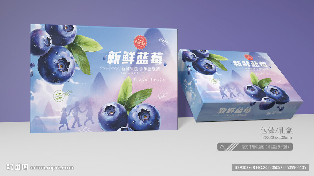 蓝莓包装