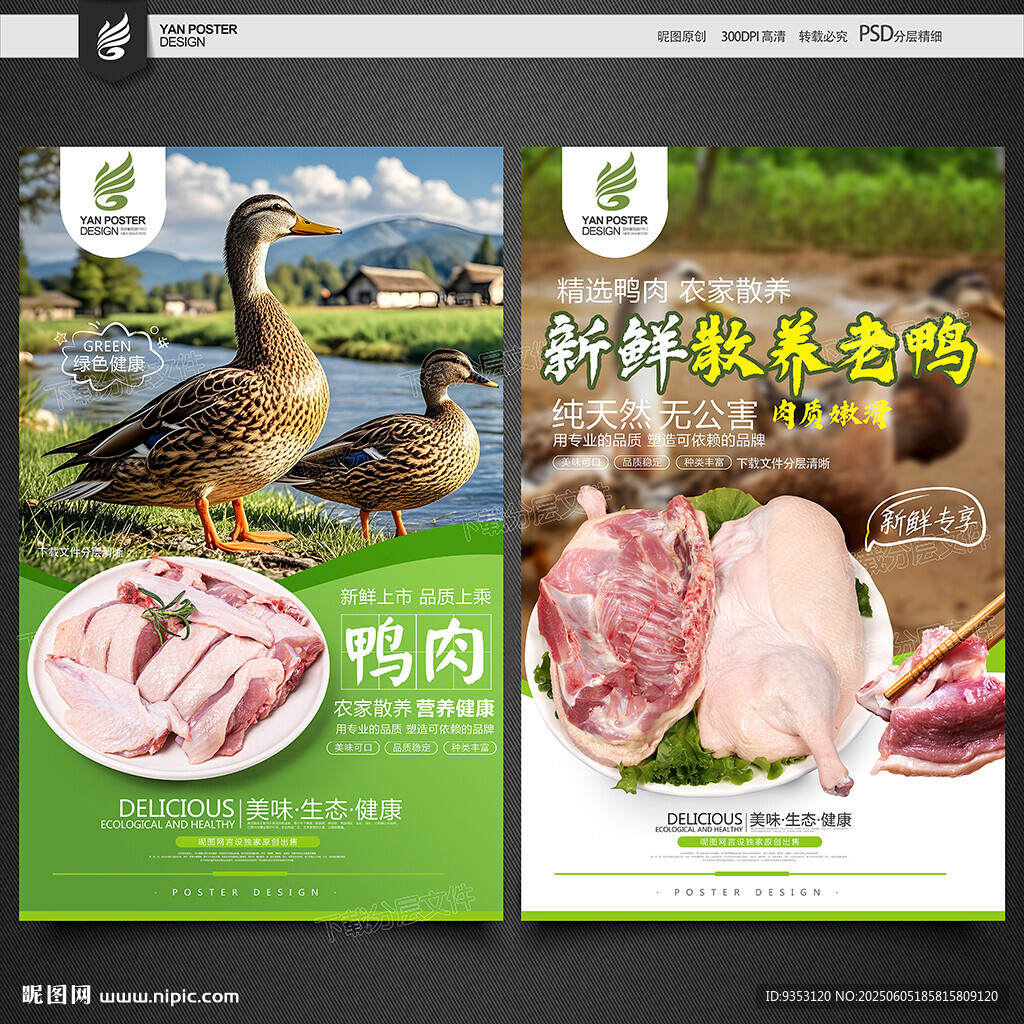 鸭肉