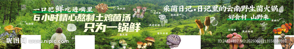 云南野生菌品类