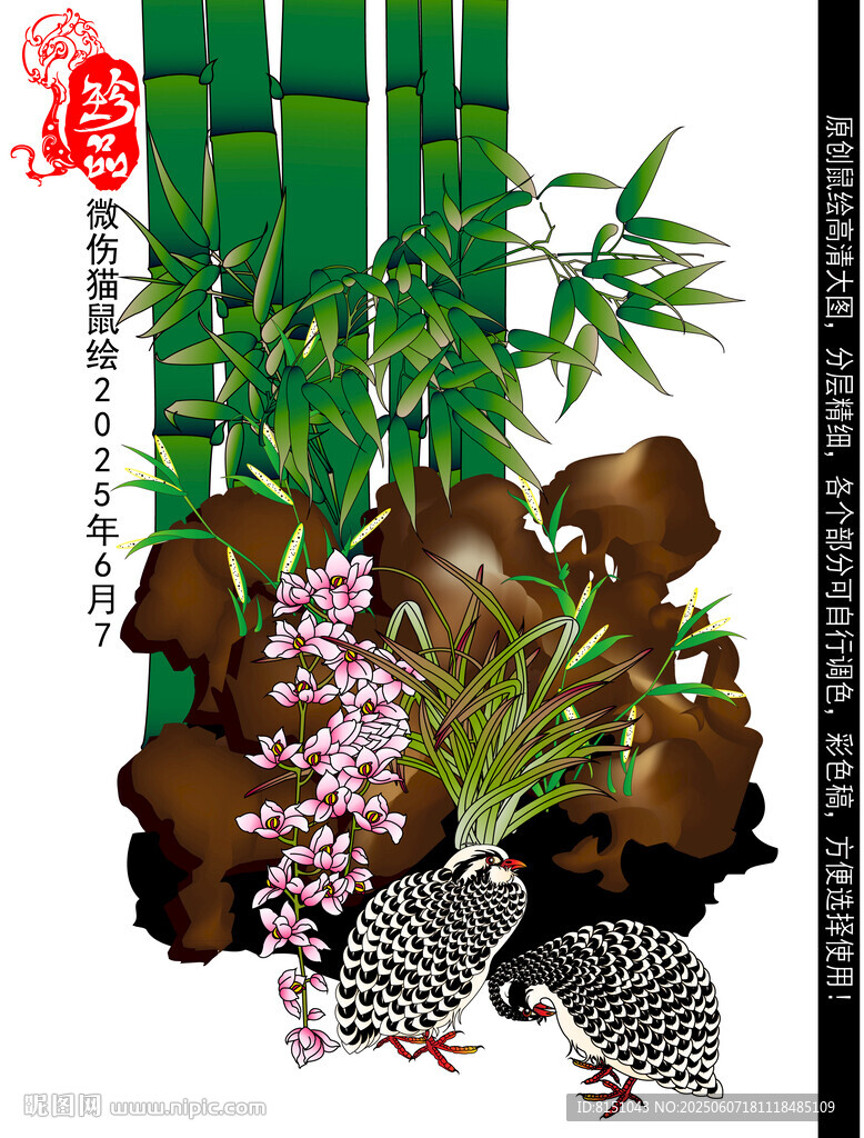蝴蝶兰矢量图