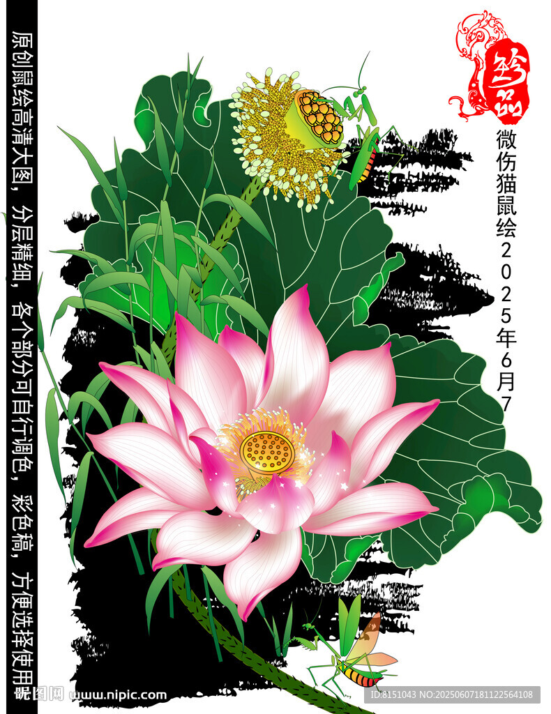 莲花矢量图