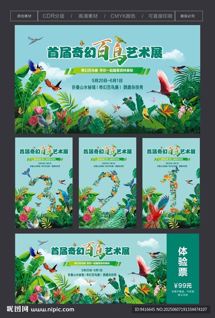 百鸟展活动