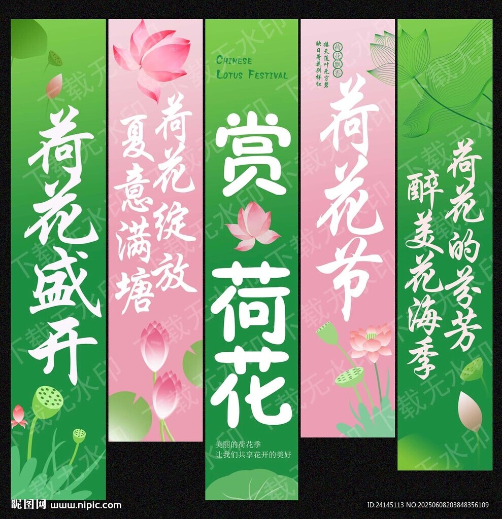 荷花节