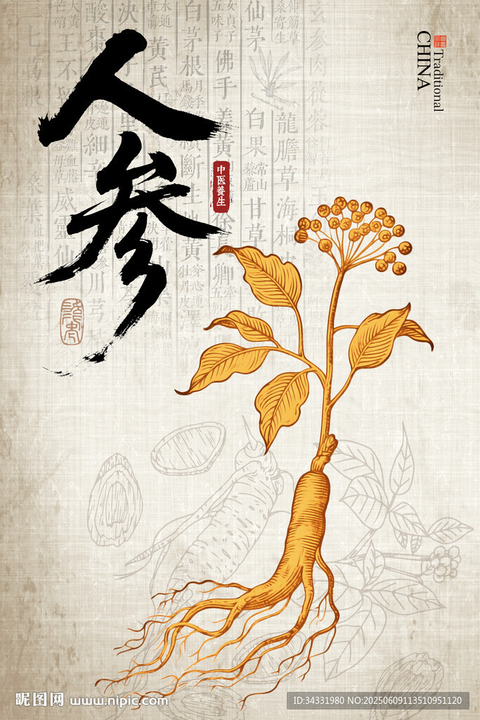 人参手绘插画