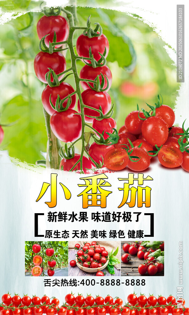 小番茄  