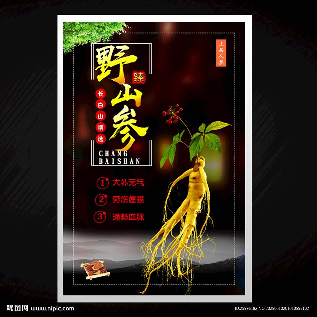 人参