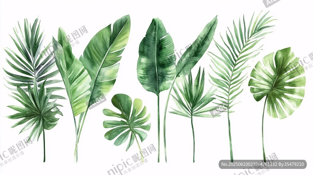 水彩绘热带植物叶片集合
