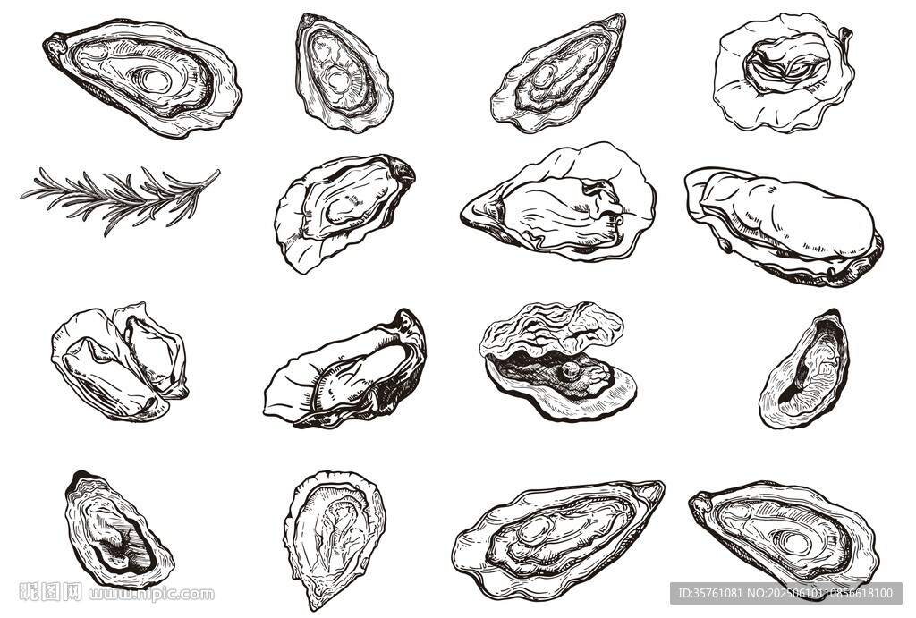 生蚝线稿剪影矢量图