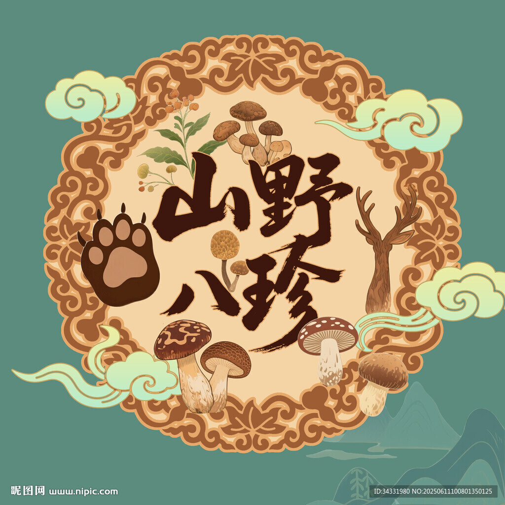 山珍国潮包装插画