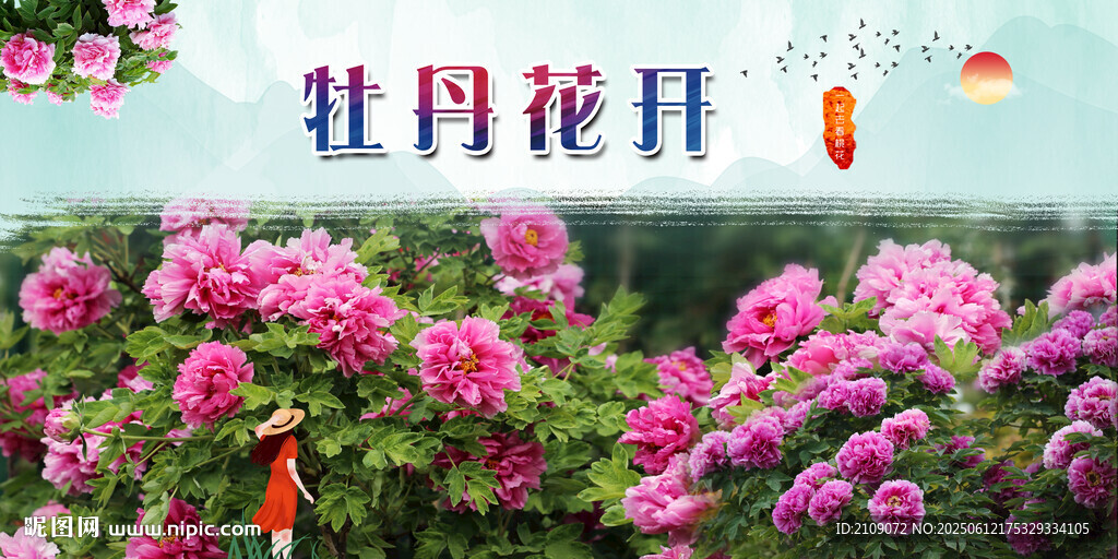 牡丹 
