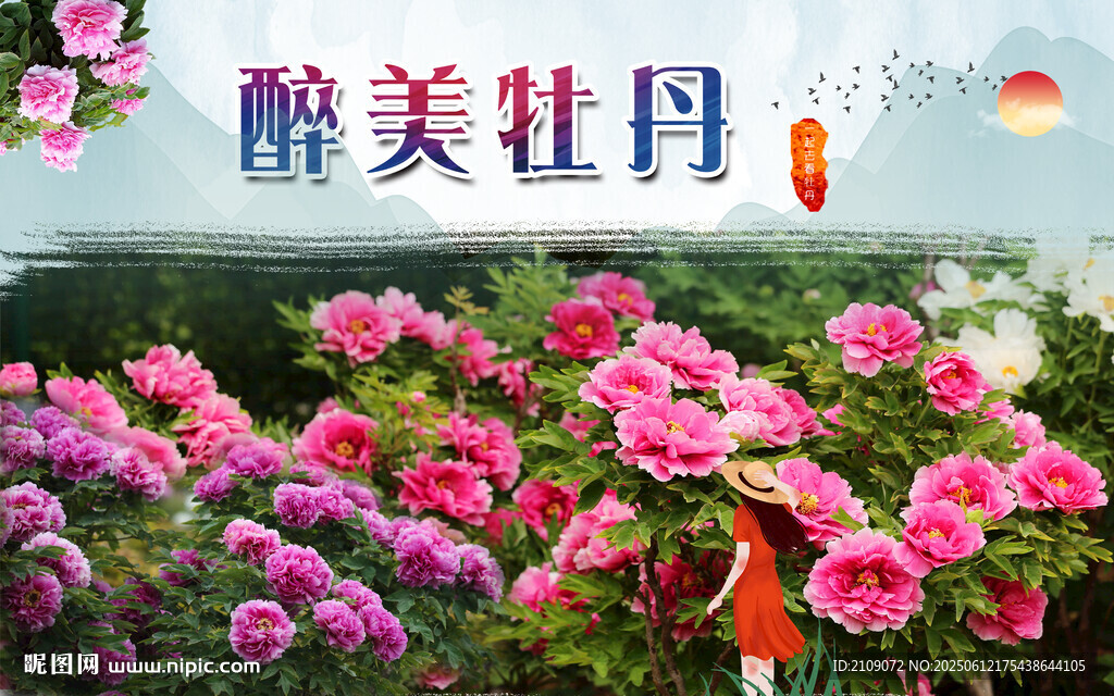 牡丹  