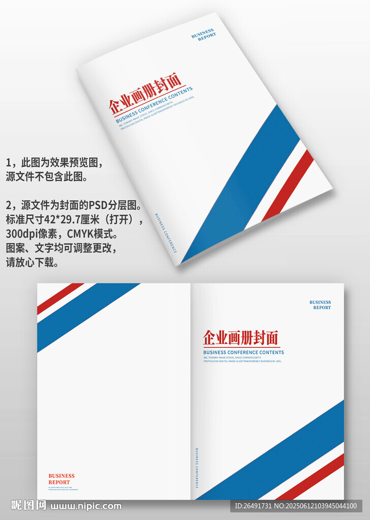蓝红斜杠公司宣传手册画册封面