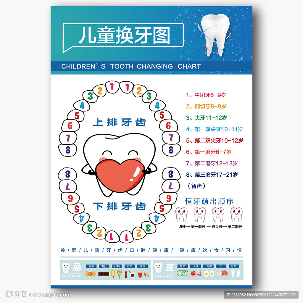 儿童换牙图