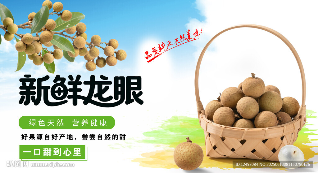 新鲜龙眼