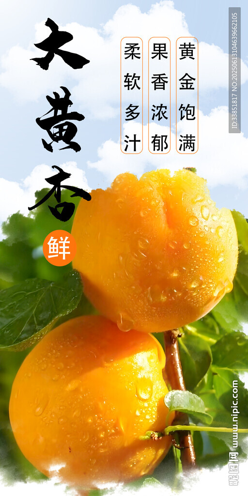 杏子海报 