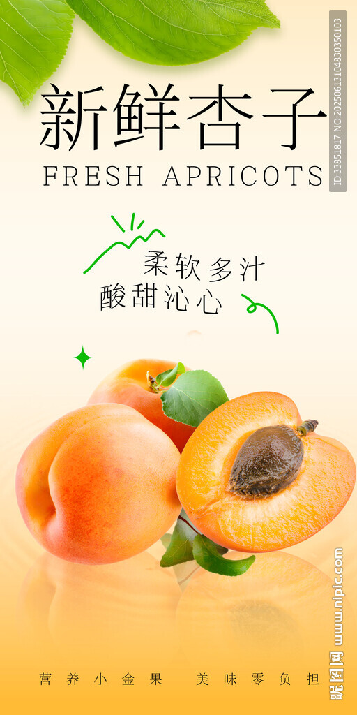 杏子海报