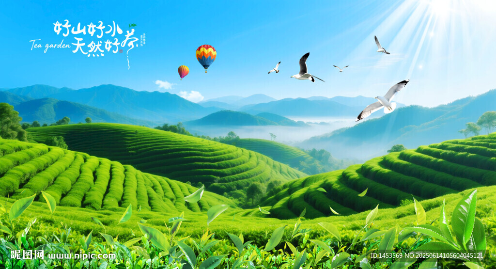 茶山